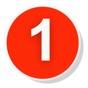 A2X Cleanup Service Diagnostic Audit | Rescue My Books