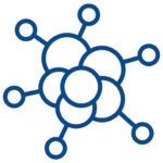 Structured Reports